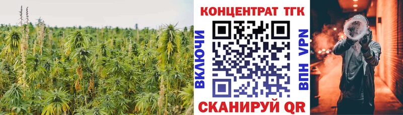 hydra tor  Пушкино  ТГК гашишное масло 