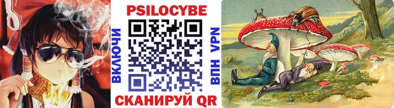 Галлюциногенные грибы Psilocybe  купить наркоту  Пушкино 