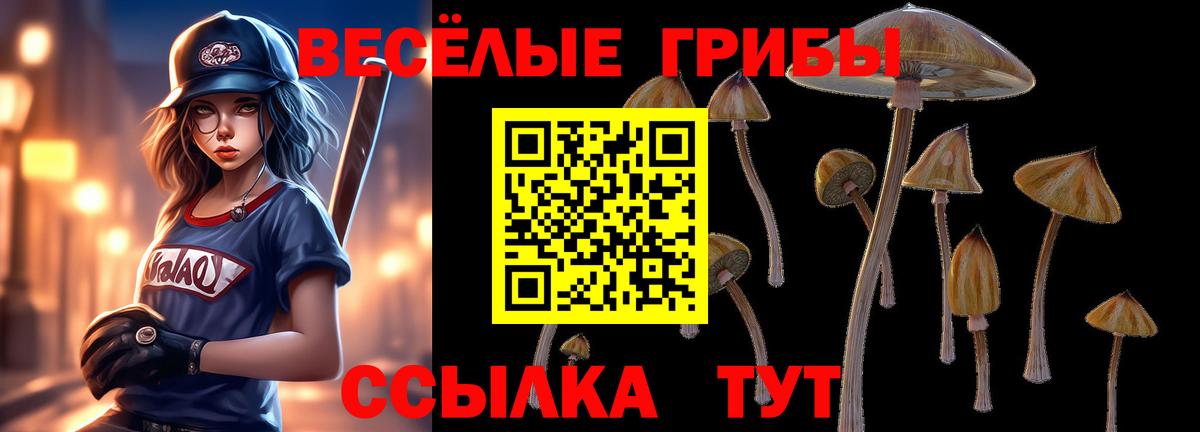Псилоцибиновые грибы Psilocybine cubensis  Вход с VPN  Пушкино 