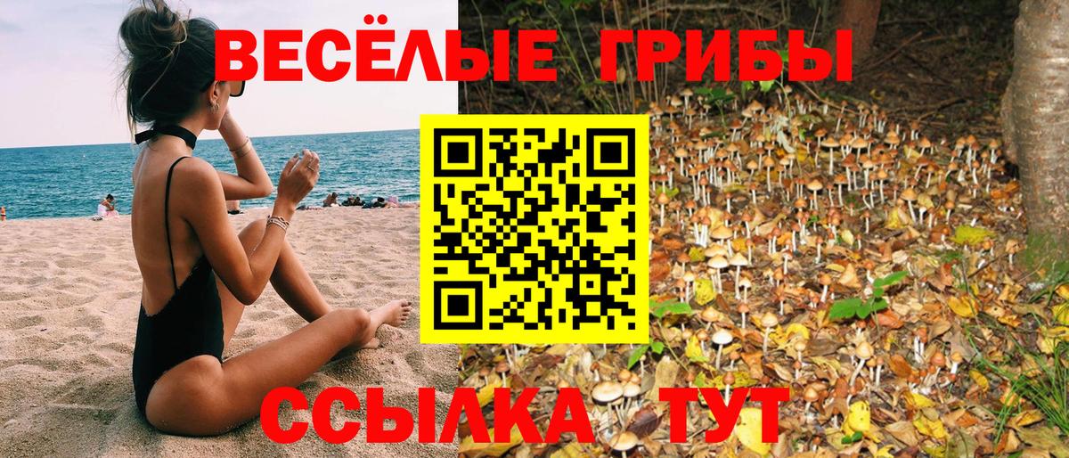 Галлюциногенные грибы Magic Shrooms Пушкино